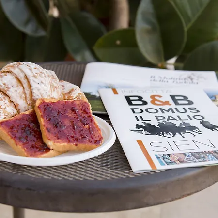 Domus Il Palio 住宿加早餐酒店 锡耶纳