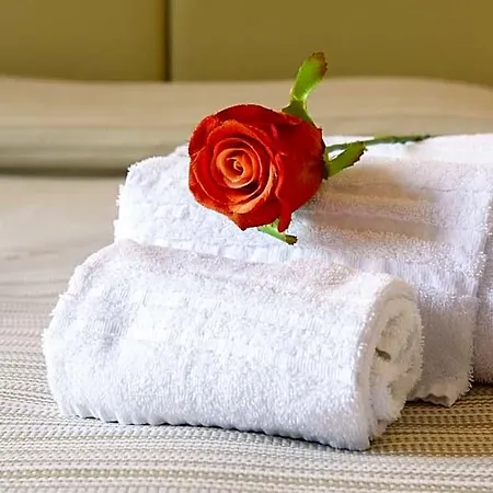 Domus Il Palio Bed & Breakfast Siena