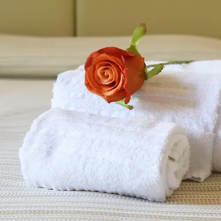 Bed & Breakfast Domus Il Palio Siena