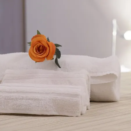 Bed & Breakfast Domus Il Palio Siena