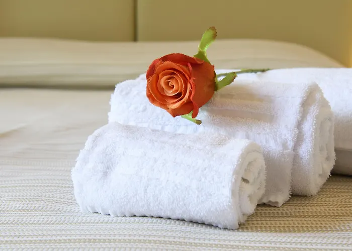 Bed & Breakfast Domus Il Palio Siena