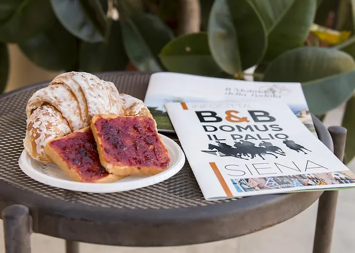 Domus Il Palio Bed & Breakfast Siena